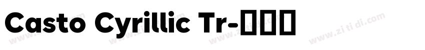 Casto Cyrillic Tr字体转换